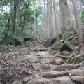筑波山は初心者の登山にピッタリ！4つのおすすめコースやアクセス情報もご紹介！