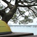 【2021最新】広島県のおすすめキャンプ場TOP16！オートサイト型や無料施設も！