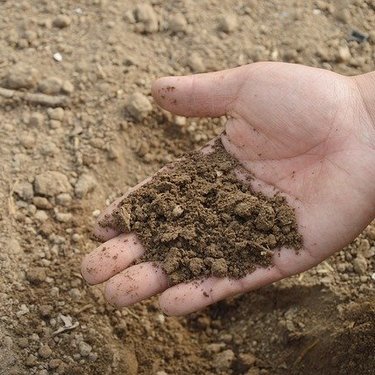 土壌改良の強い味方 パーライトの使い方講座 用途別におすすめの種類や効果も 暮らし の