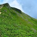群馬県の登山におすすめの山ベスト10！初心者やファミリーに人気の絶景名所ならココ！