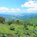 富士山を間近に望む毛無山のおすすめ登山コースをご紹介！近場に観光スポットも充実！