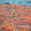 神の絨毯とも呼ばれる絶景の紅葉が有名！栗駒山のおすすめ登山コース7選をご紹介！