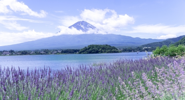河口湖のおすすめランチスポット11選 富士山ついでに美味しいグルメも楽しもう 暮らし の