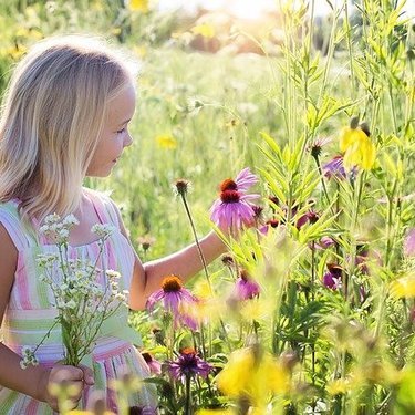 ガーデニングにもおすすめ トレニア の花言葉をご紹介 幸運を呼ぶって本当 暮らし の