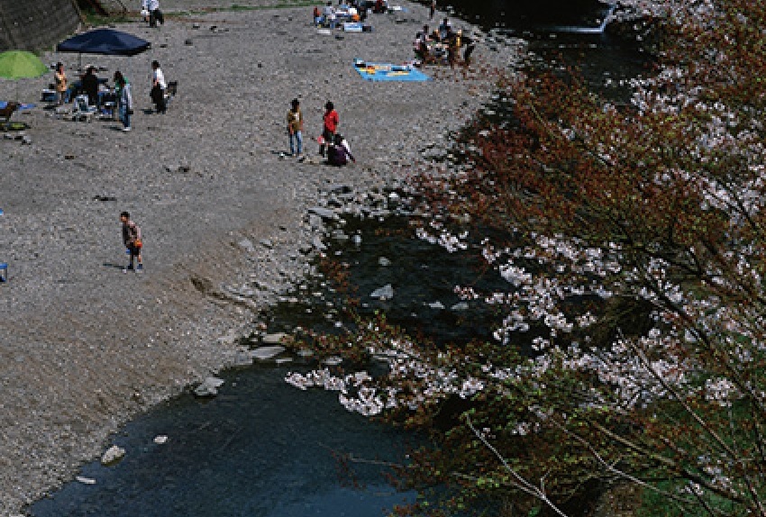 ダム周辺の秘境で大自然に飛び込もう 気軽に行ける滝畑湖畔バーベキュー場をご紹介 暮らし の