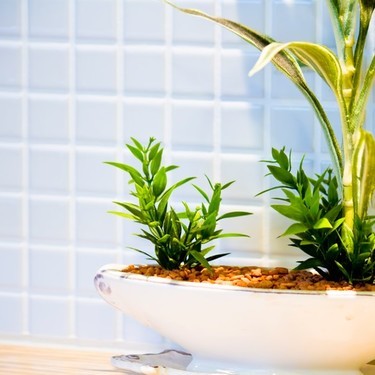 室内で手軽に観葉植物を栽培できる セラミスグラニューを使った植え替え方法を解説 暮らし の
