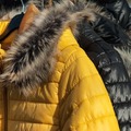 【ウールリッチVSカナダグース】人気ダウンのシルエットや暖かさを徹底比較！