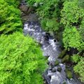 豊田市の有名川遊びスポット王滝渓谷をご紹介！無料駐車場や混雑の情報も解説！