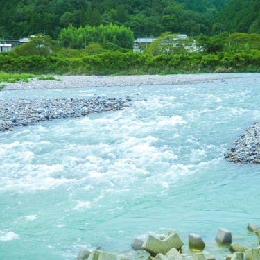 長良川で川遊びするならココ 自然いっぱいのエリア9選 流れが緩やかな場所も 暮らし の