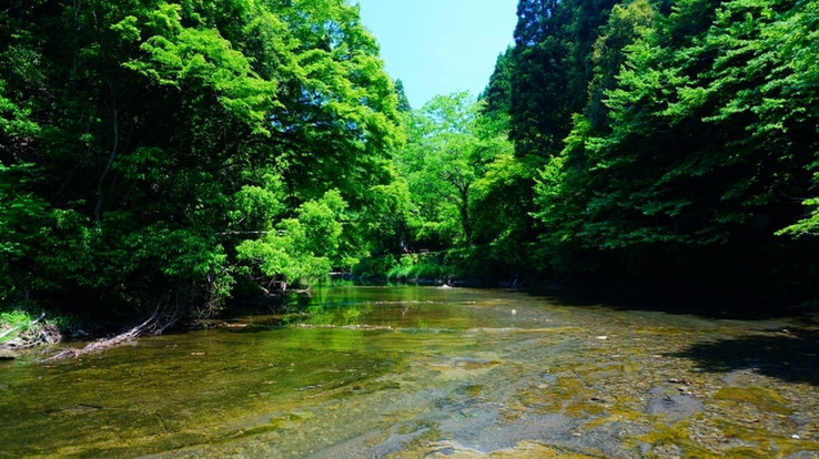 千葉の川遊びスポットおすすめ8選 家族で泳げる綺麗な川や人気施設をご紹介 暮らし の
