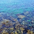 伊豆大島のシュノーケリングスポット9選！透明度の高い海中から、磯遊びまで大満足！