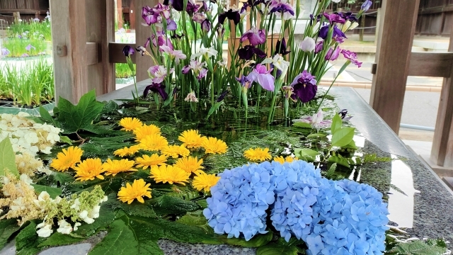 日本全国 県の花 特集 47都道府県 各地域のシンボルとなる花を一覧で紹介 暮らし の