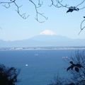 山頂から望む富士山が絶景…鋸山のおすすめハイキングコースをご紹介！