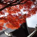 鮮やかな朱色の絶景…京都嵐山の紅葉情報まとめ！見どころやベストシーズンを紹介！