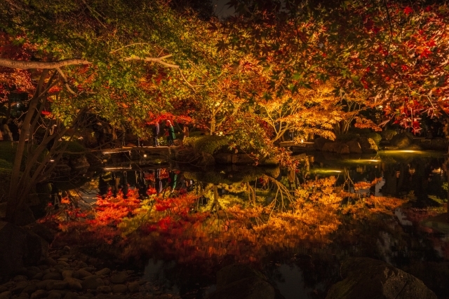 水面に映る庭園が幻想的 大田黒公園の紅葉時期 ライトアップの開催期間をご紹介 暮らし の