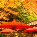 10月の国内旅行でおすすめの観光名所13選！秋の魅力溢れる景色や体験を堪能！