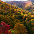 ハイキングや散策で絶景を味わおう。石川県の紅葉情報をエリアごとに紹介！