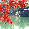 赤く染まる日本庭園が幻想的…兼六園の人気紅葉スポットを紹介、見頃のピークも！