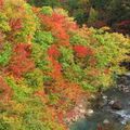 日本の四季ならではの絶景を満喫！山梨の紅葉スポット9選、見ごろのピークもご紹介！