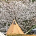 春キャンプで人気、関東のキャンプ場5選！温泉や豊かな自然を気軽に満喫しよう！