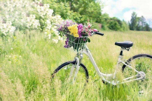 イオン パンク しない 自転車 値段