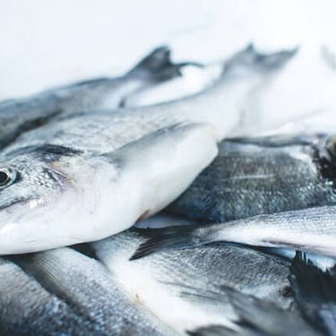 イシモチという魚の特徴を徹底解説 釣り方のコツや美味しい食べ方もご紹介 暮らし の