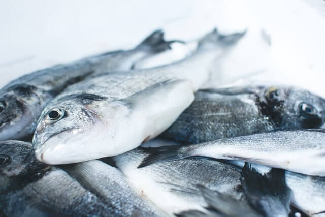 イシモチという魚の特徴を徹底解説 釣り方のコツや美味しい食べ方もご紹介 暮らし の