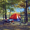 ブルーシートを使うキャンプの雨対策4選！タープ代わりや荷物の雨よけとしても便利！