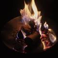 【アウトドア名品図鑑Vol.1】革新的焚き火台、コールマン『ファイアーディスク』