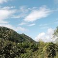宮島の霊山「弥山」のおすすめハイキングコース4選。初心者向けのコースもご紹介！