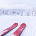 「モヤヒルズ」のレンタル情報をご紹介！大人も子供も手ぶらでスキーを楽しめる！