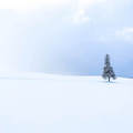 札幌の雪遊びスポット4選。そりやチューブ滑りなどアクティビティを満喫！