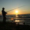 【保存版・ハゼの夜釣り攻略ガイド】釣れる時期・場所・仕掛け・釣り方を徹底解説
